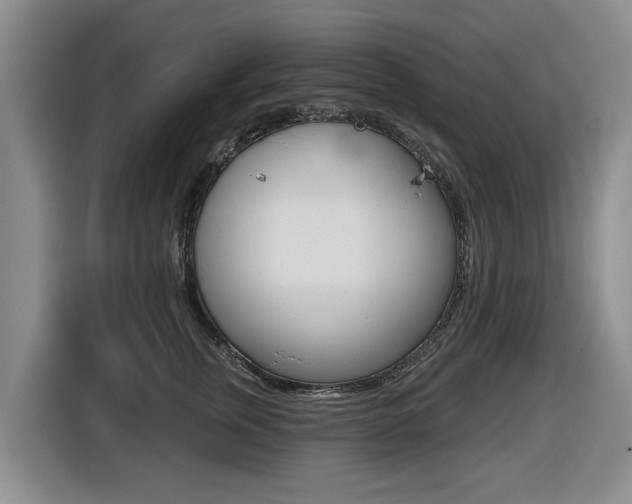 X0000116430759200912081220