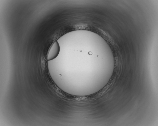 X0000116430761200912081220