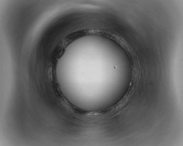 X0000116430762200912081220