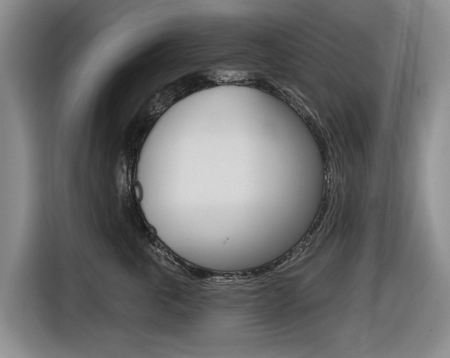 X0000116430763200912081220