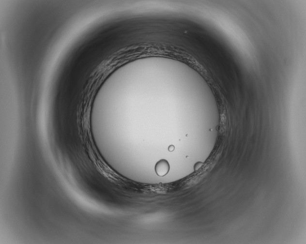 X0000116430765200912081220