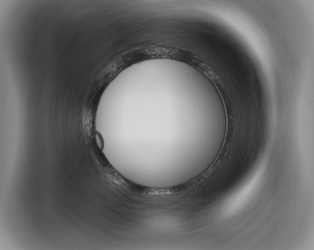 X0000116430767200912081220