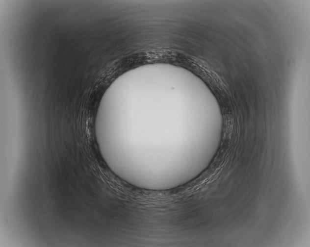 X0000116430770200912081220