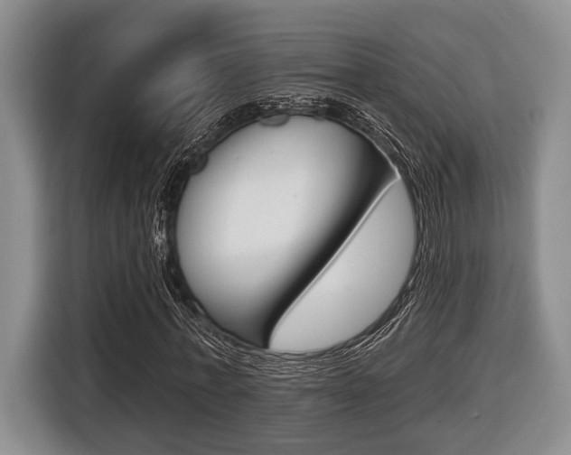 X0000116430771200912081220