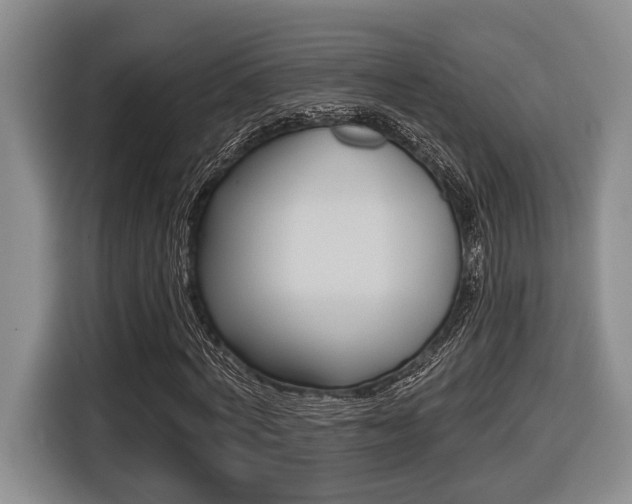 X0000116430772200912081220