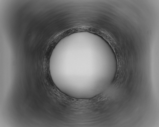 X0000116430773200912081220