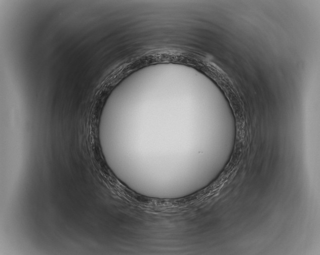 X0000116430774200912081220