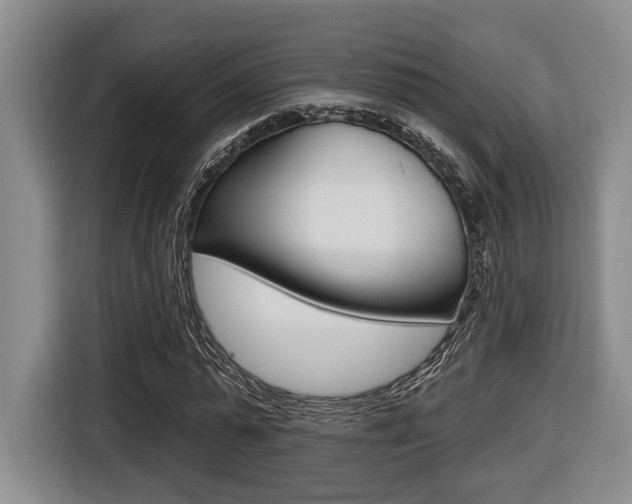 X0000116430775200912081220