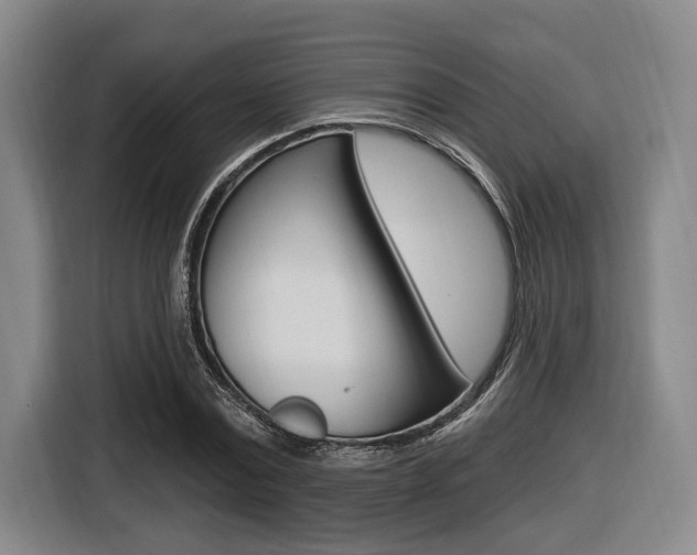 X0000116430779200912081220