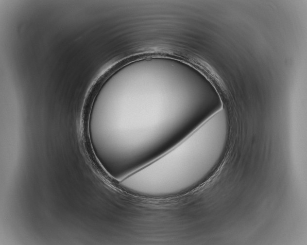 X0000116430780200912081220