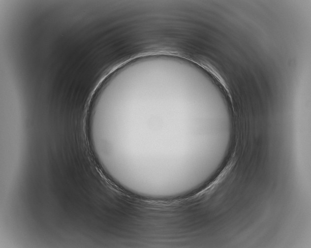 X0000116430781200912081220