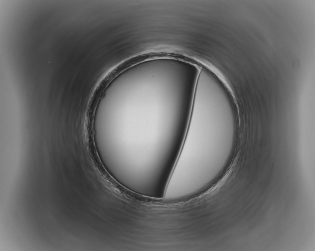X0000116430783200912081219