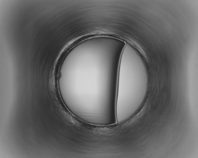 X0000116430784200912081219