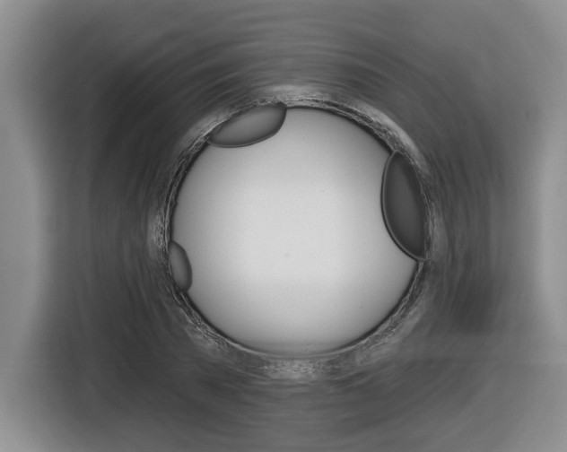 X0000116430785200912081219