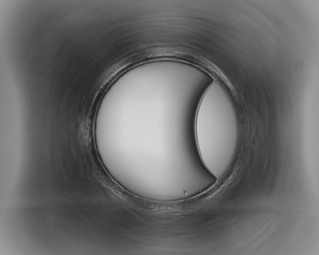 X0000116430786200912081219