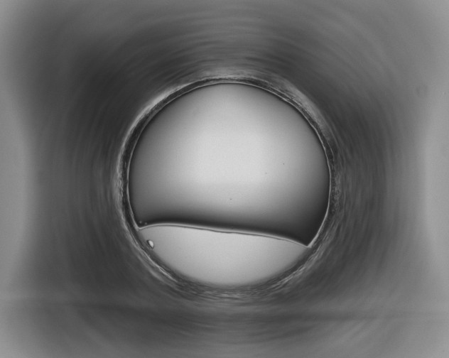 X0000116430787200912081219