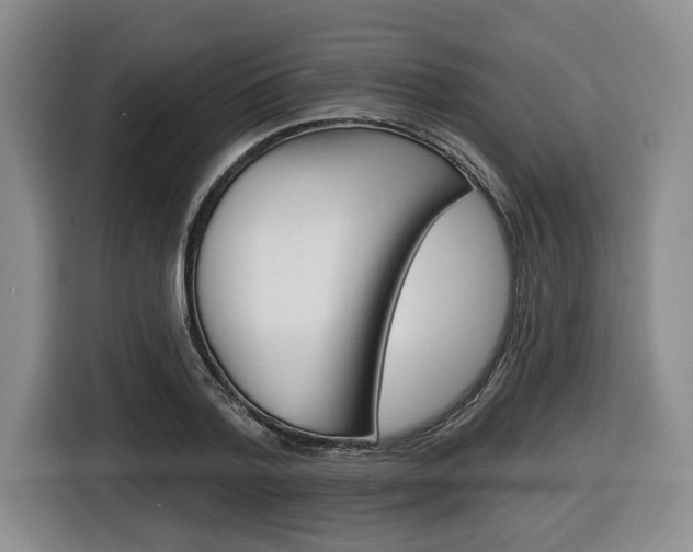 X0000116430788200912081219