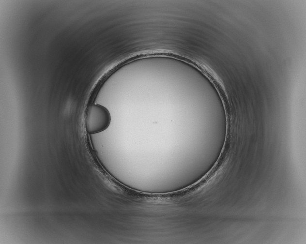 X0000116430789200912081219
