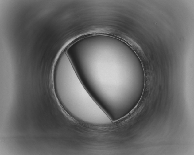 X0000116430792200912081219