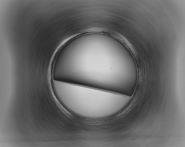 X0000116430795200912081219