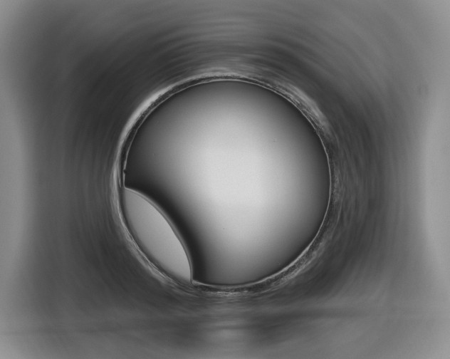 X0000116430796200912081219