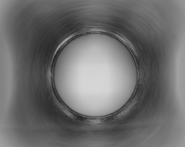X0000116430798200912081219