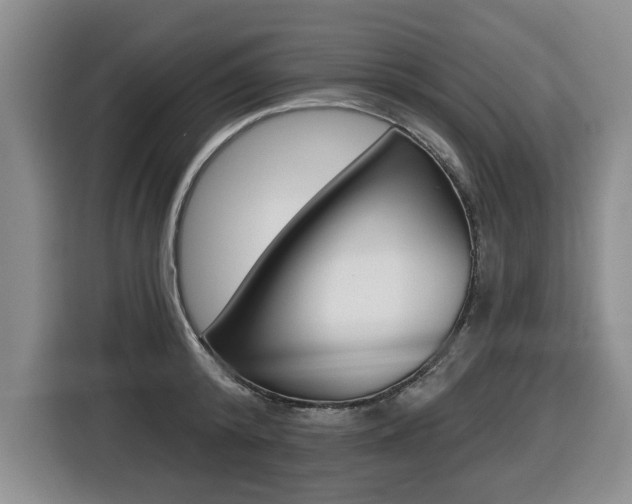 X0000116430800200912081219