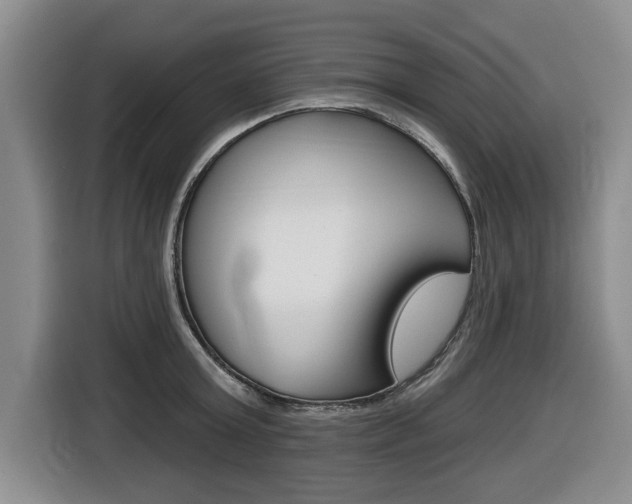 X0000116430803200912081219