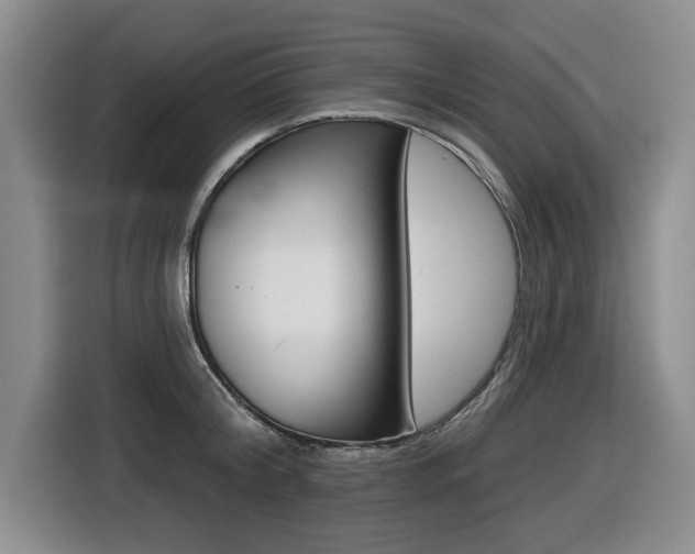 X0000116430804200912081219