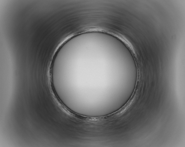 X0000116430806200912081219