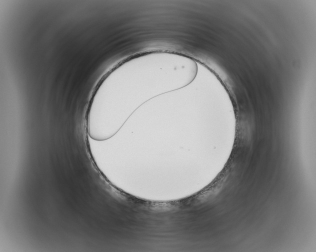 X0000116430807200912081219