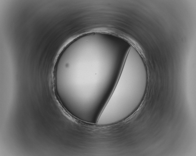 X0000116430808200912081219