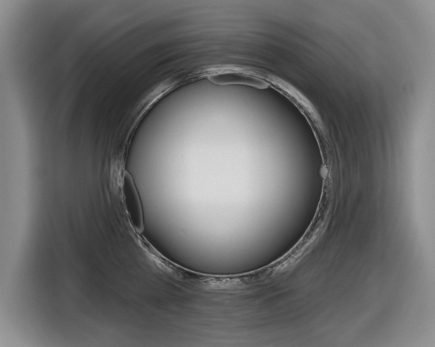 X0000116430809200912081219