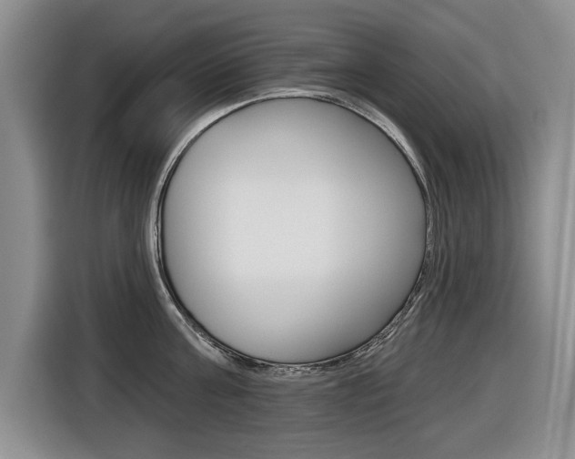 X0000116430811200912081219