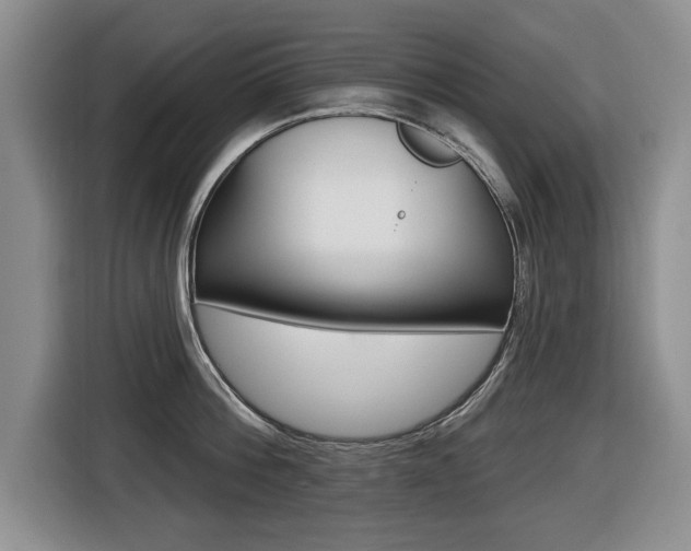 X0000116430812200912081219