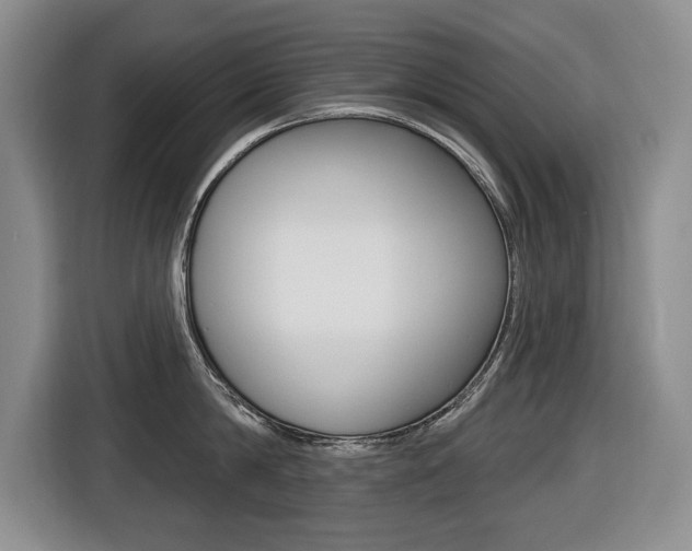 X0000116430814200912081219