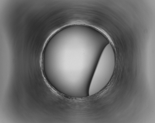 X0000116430815200912081219