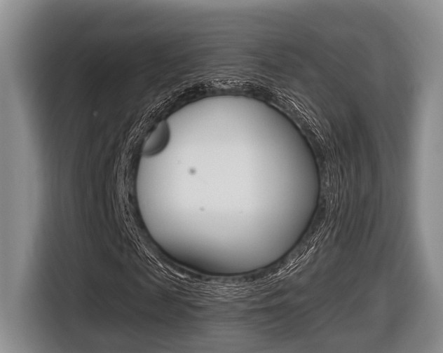 X0000116430817200912081218