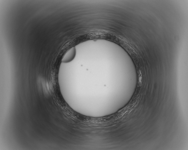 X0000116430819200912081218