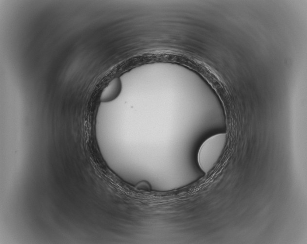X0000116430821200912081218