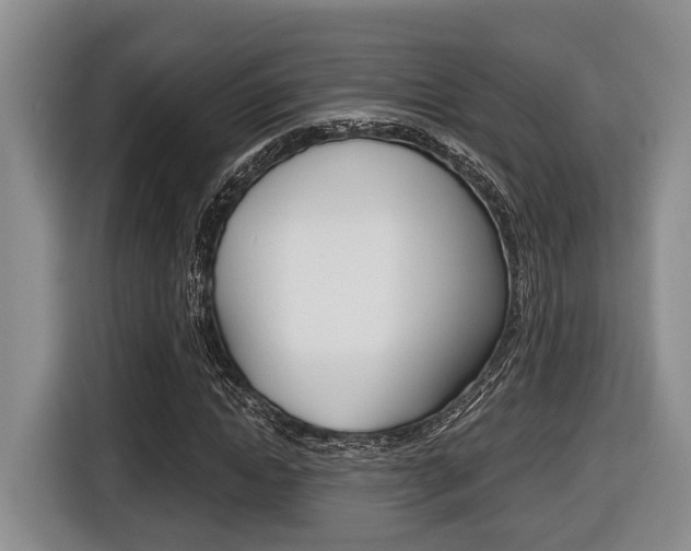 X0000116430822200912081218