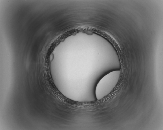X0000116430823200912081218