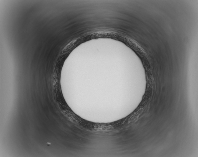 X0000116430824200912081219