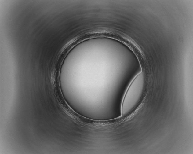 X0000116430826200912081219