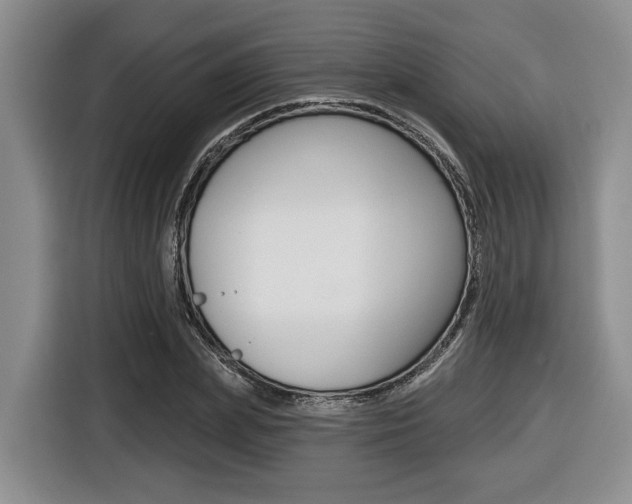 X0000116430831200912081219