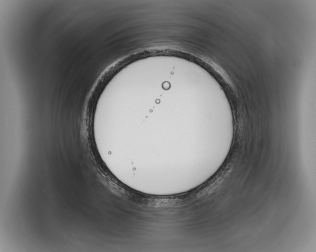 X0000116430832200912081219