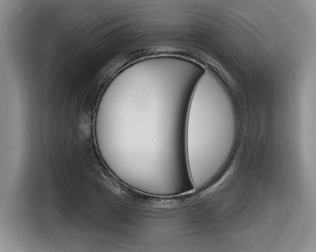X0000116430833200912081219