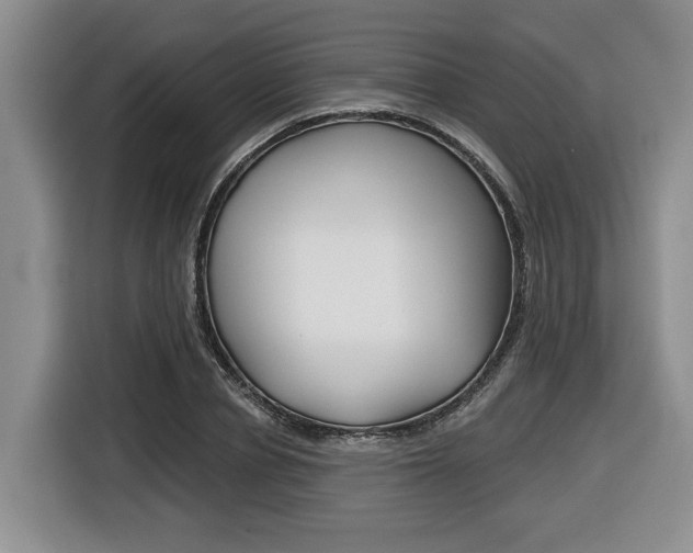 X0000116430834200912081219