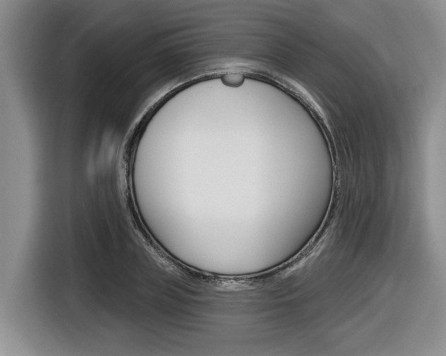 X0000116430835200912081219