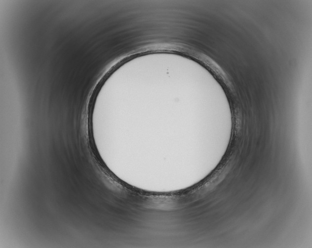 X0000116430836200912081219